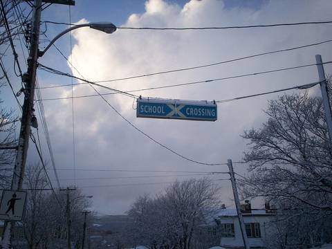 Fotoğraf: School crossing sign